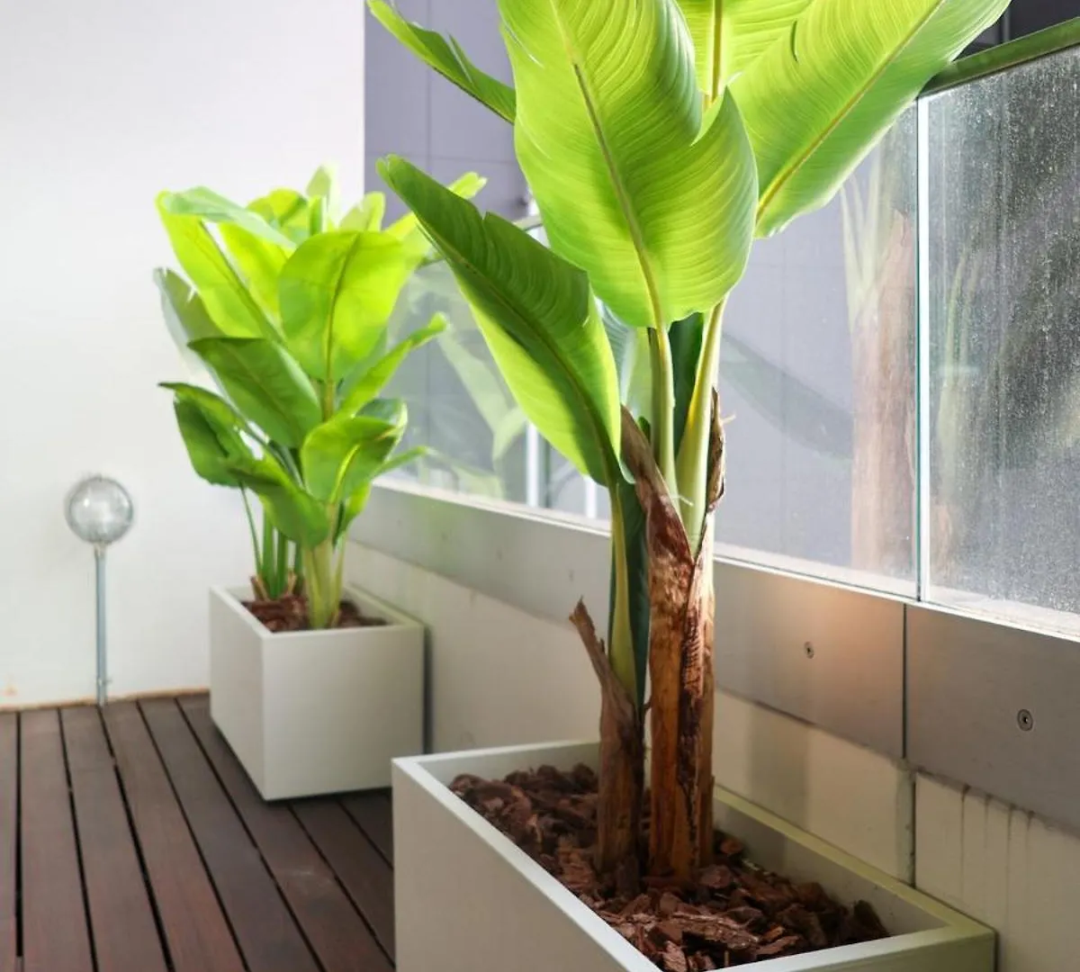 Jungle Suite And Parking Milaan Appartement